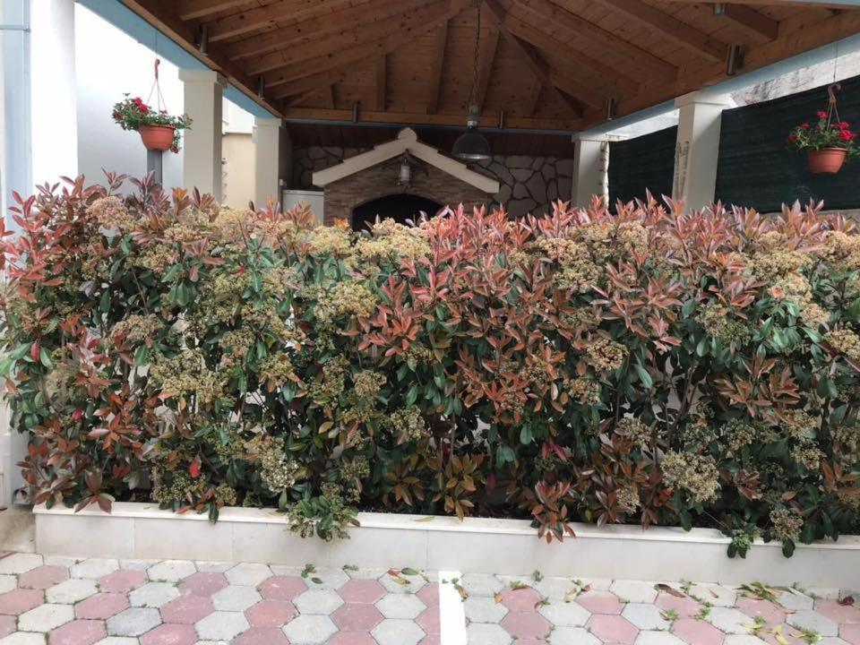 Apartmani Mane تروغير المظهر الخارجي الصورة